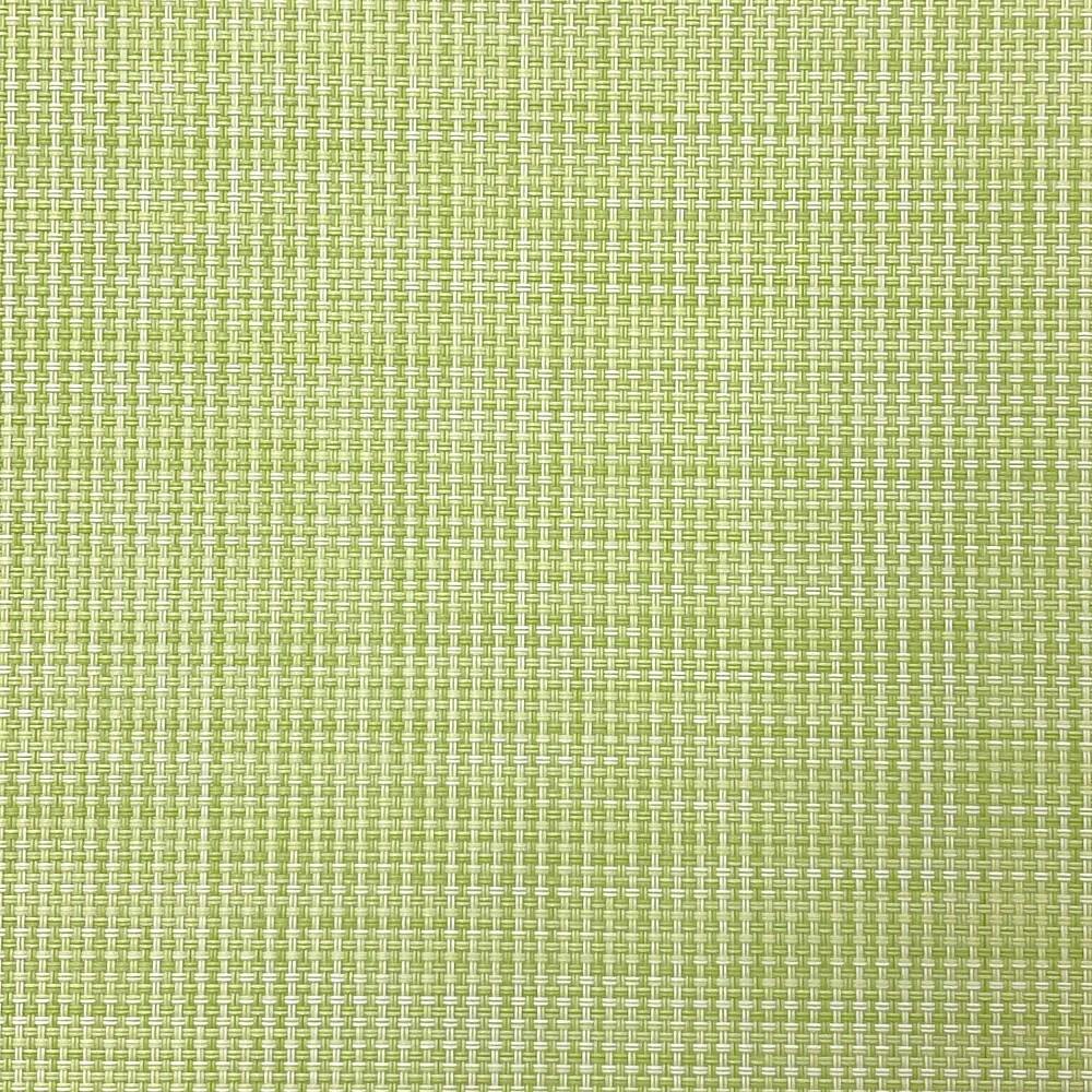 PVC ランチョンマット 30×45cm GN | 卓上用品 通販