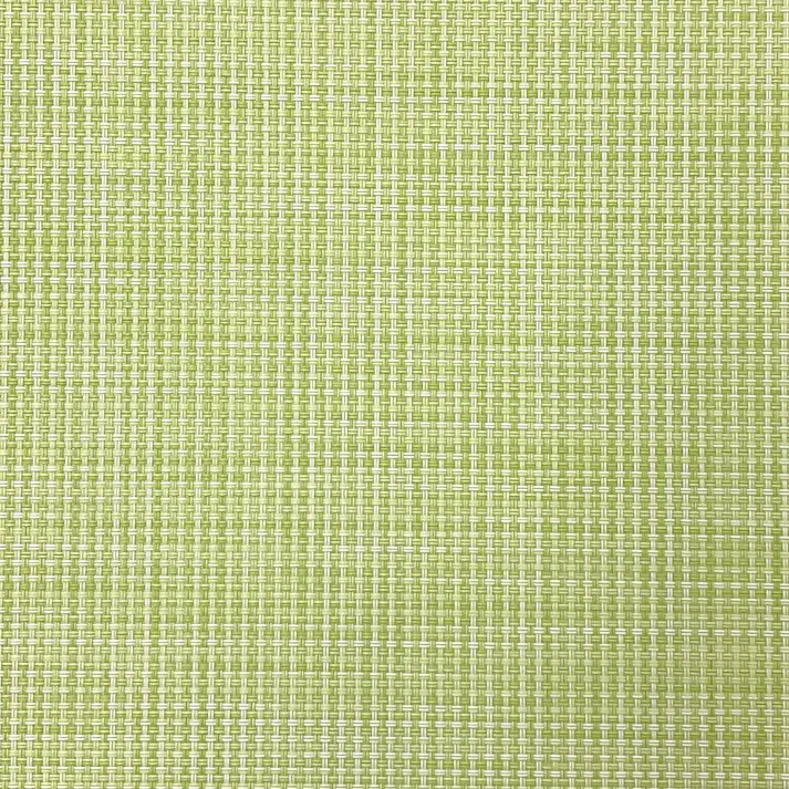 PVC ランチョンマット 30×45cm GN