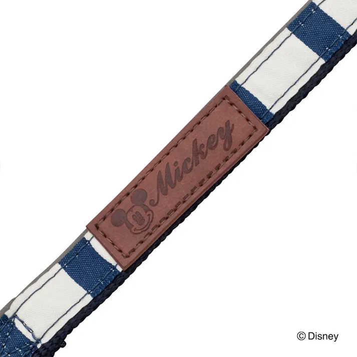 ディズニー リード ミッキー S