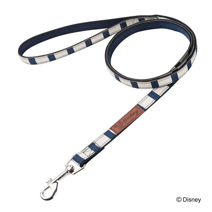 ディズニー リード ミッキー S