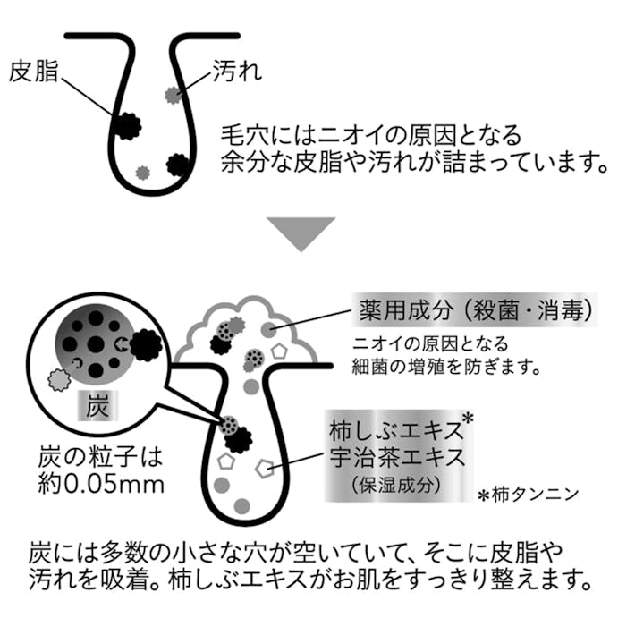 カインズ 薬用柿しぶエキス配合 ボディソープEX ペパーミントの香り 詰替用 380ml(販売終了)