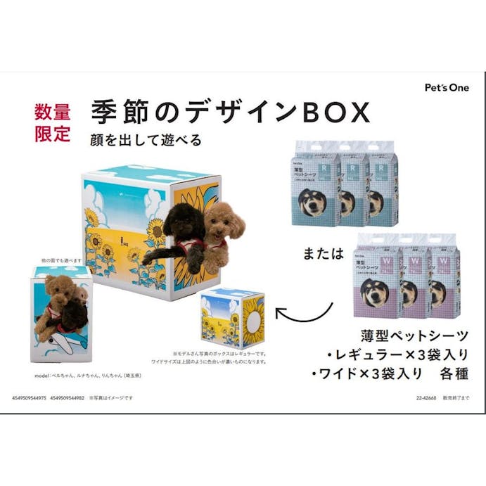 Pet’sOne 薄型ペットシーツ レギュラー 148枚×3袋 夏デザインBOX(販売終了)