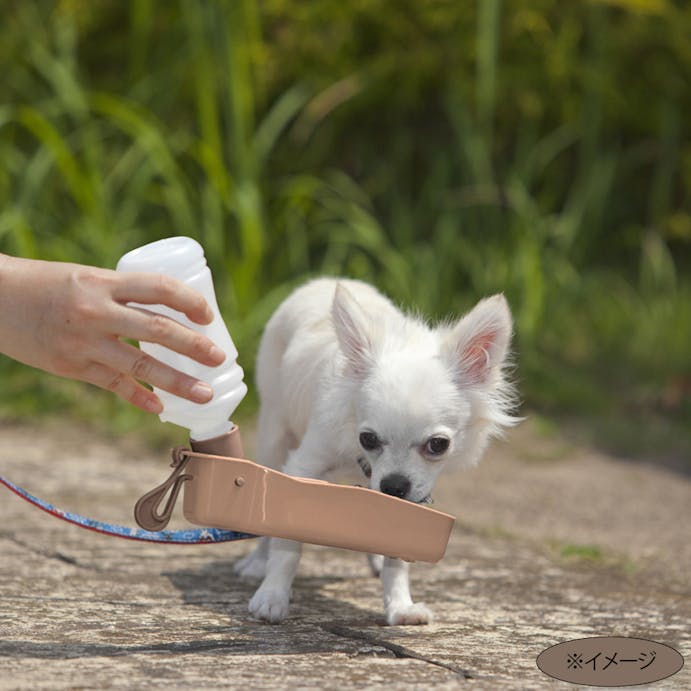 Pet’sOne おでかけ給水器 250ml ブラウン