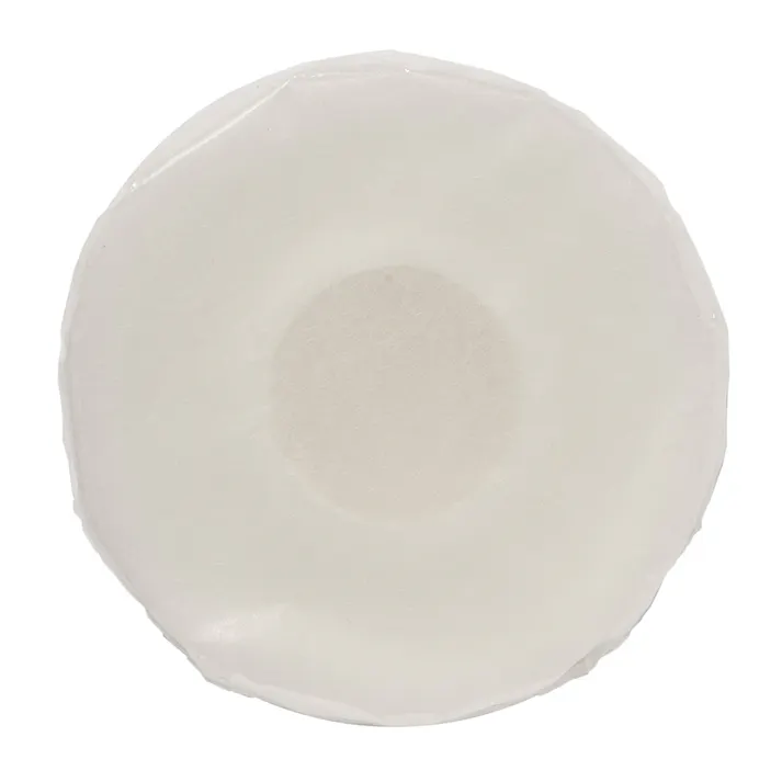 CAINZ 衣類用防虫剤 洋服ダンス用 本体 120g