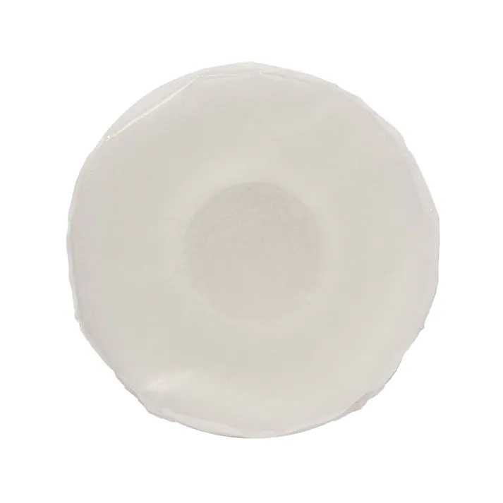 カインズ 衣類用防虫剤 洋服ダンス用 詰替 120g×3個