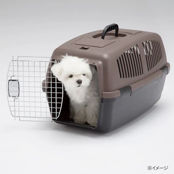 ペッツワン ハードキャリー M ブラウン