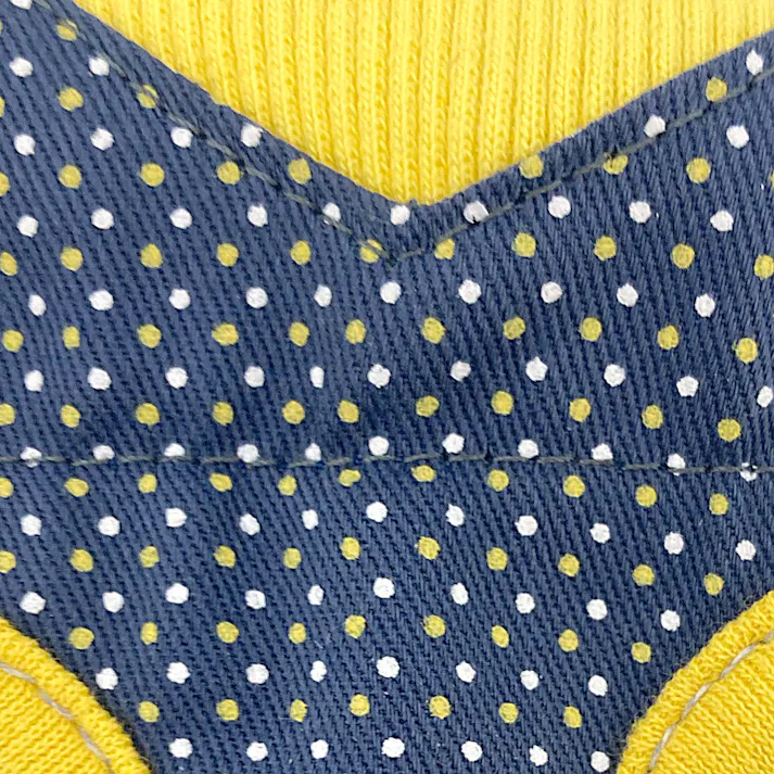 ドッグベストハーネス ドット ブルー S