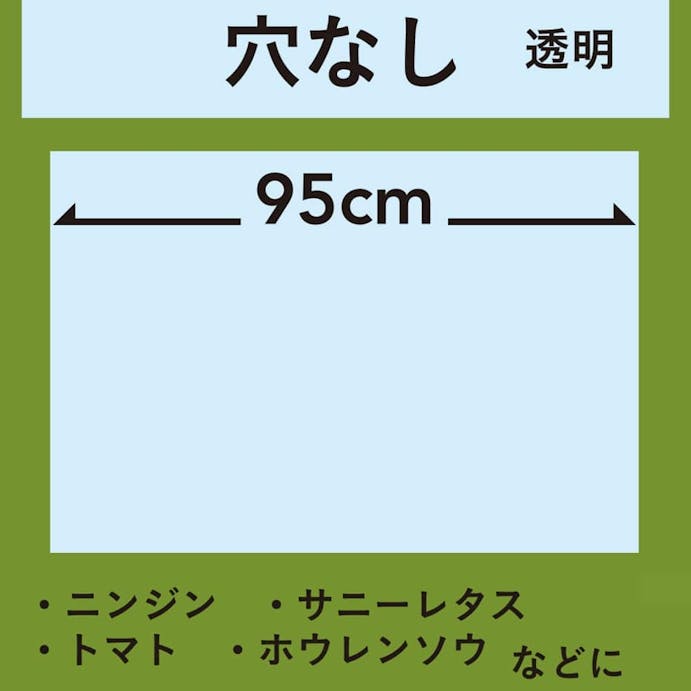 カインズ 菜園マルチ 透明 0.02×95×50m