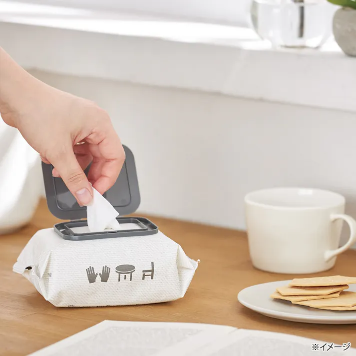 CAINZ フタ付き アルコールタイプ 除菌ウェットティシュー 超厚手 40枚×2個