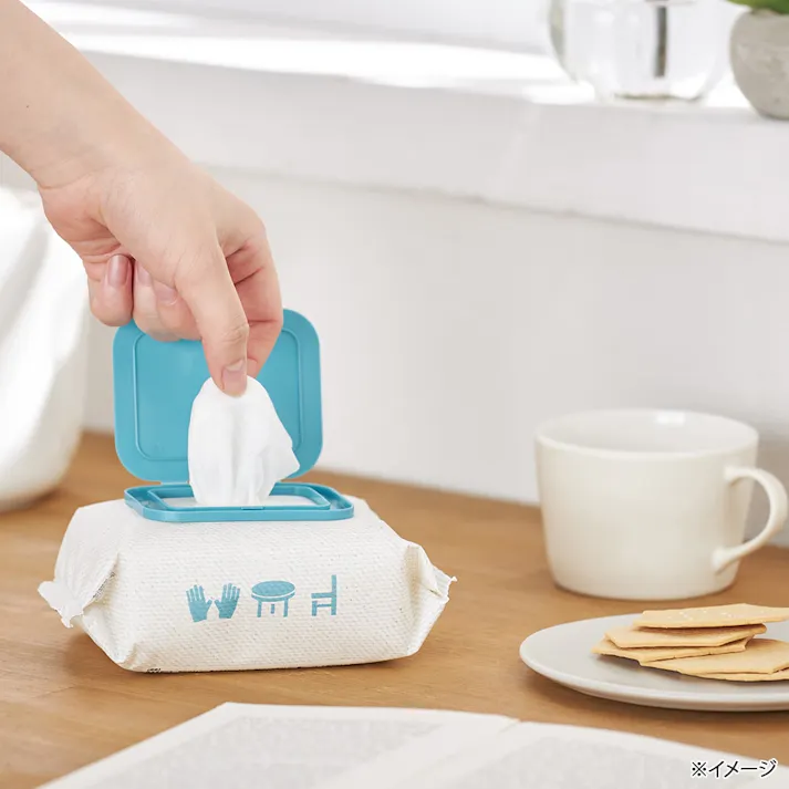 カインズ フタ付き ノンアルコールタイプ 除菌ウェットティシュー 超厚手 40枚×2個 (販売終了)