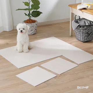 菌や臭いを防ぐ洗える吸着マット9枚組 &Pet アイボリー