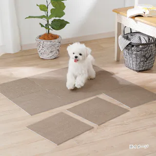 &Pet 菌や臭いを防ぐ洗える吸着マット9枚組 モカ