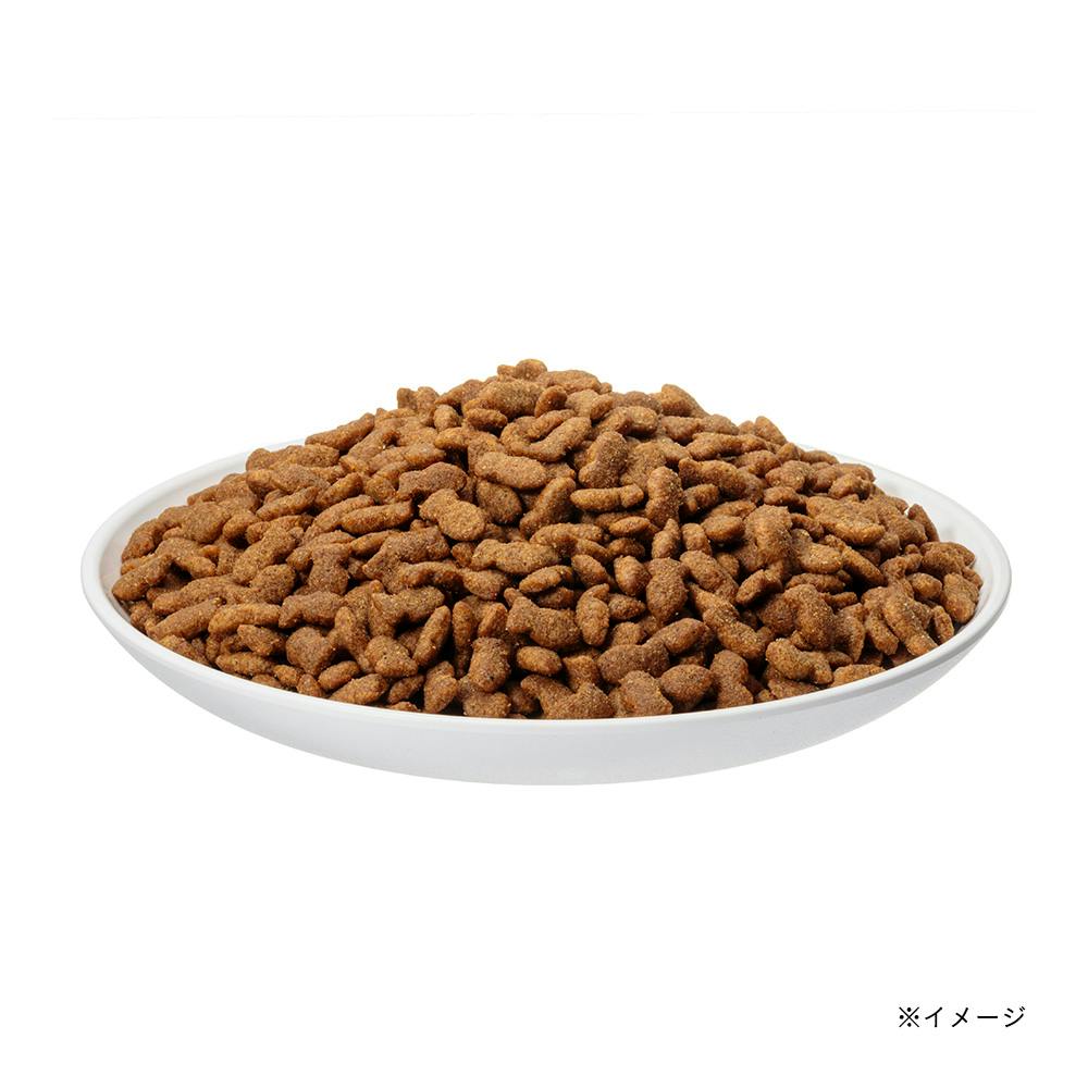 Pet'sOne キャットミール まぐろ味とチキン味 12kg | キャットフード