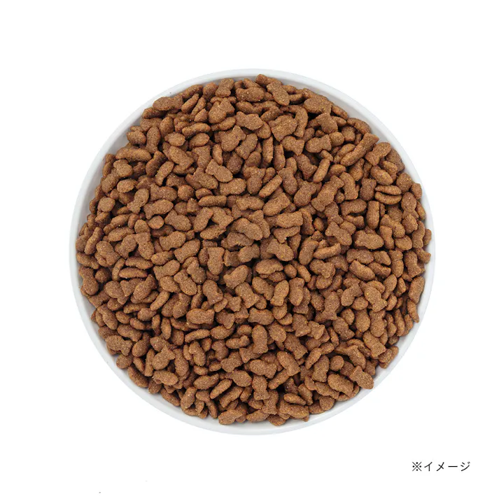 Pet’sOne キャットミール まぐろ味とチキン味 12kg