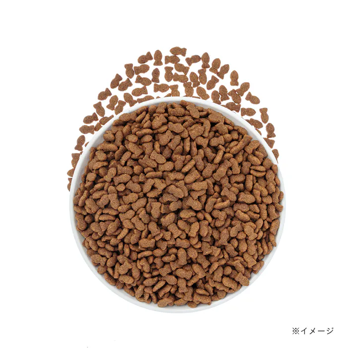 Pet’sOne キャットミール まぐろ味とチキン味 12kg