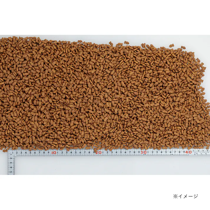 Pet’sOne キャットミール まぐろ味とチキン味 12kg