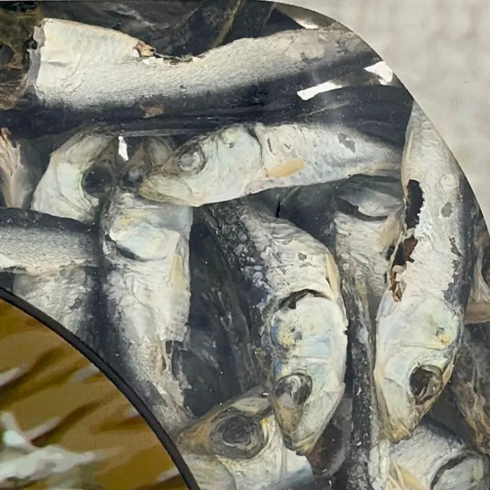 Pet’sOne こざかな 80g