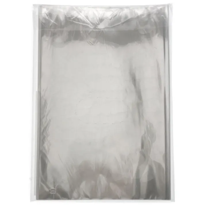 カインズ OPP防曇規格袋 #20 11号 穴なし 100枚入