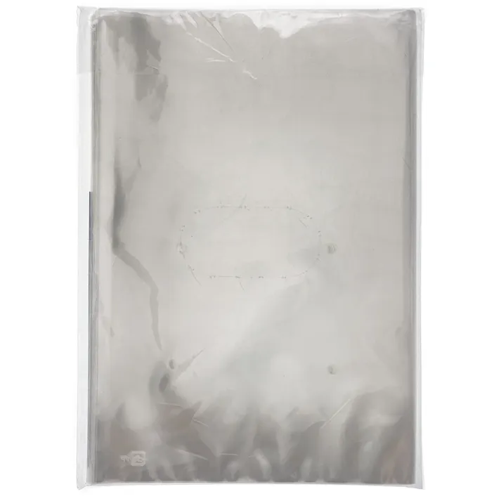 カインズ OPP防曇規格袋 #25 10号 4穴 100枚入