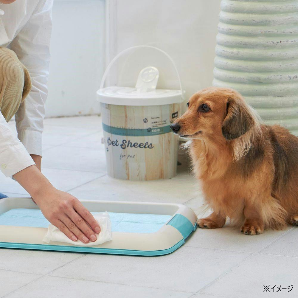 Pet'sOne お掃除シート Ag デザインバケツ本体 犬猫用 無香料