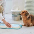 Pet’sOne お掃除シート Ag デザインバケツ本体 犬猫用 無香料 130枚