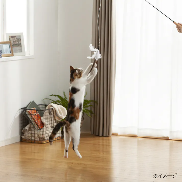 交換できる伸縮猫じゃらし 木柄(販売終了)