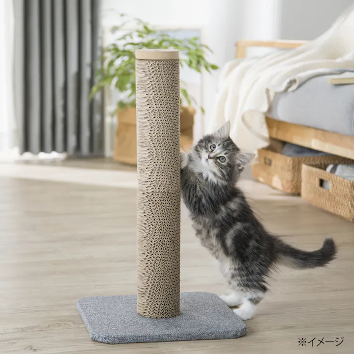Pet’sOne タワースタイルスクラッチャー