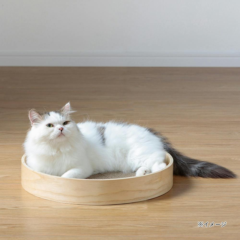 Pet'sOne 猫のつめとぎ 丸型 交換用 | ペット用品（猫） 通販