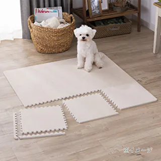 縁付制菌防臭ジョイントマット9枚組 &Pet アイボリー