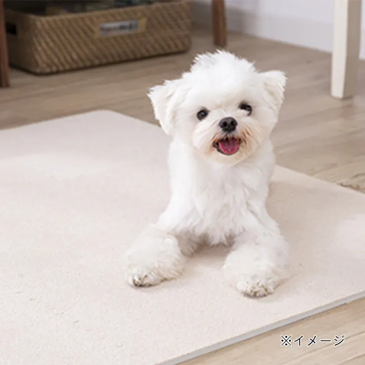 縁付制菌防臭ジョイントマット9枚組 &Pet アイボリー