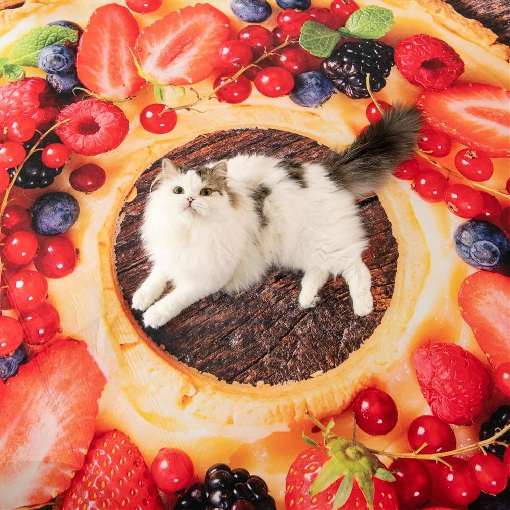 ずれにくいデザインラグ パンケーキ 185×185(販売終了) | ラグ