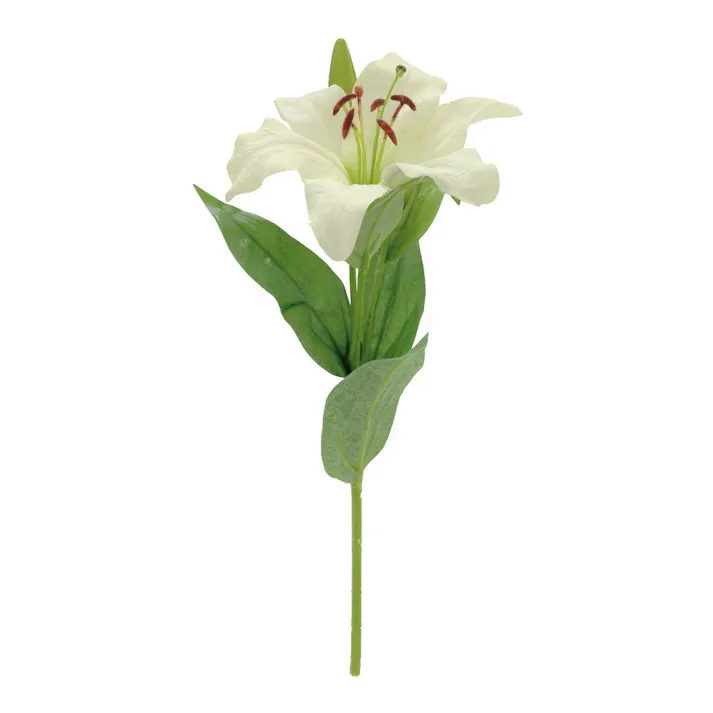 カインズ アレンジかんたん 1 カサブランカ ホワイト