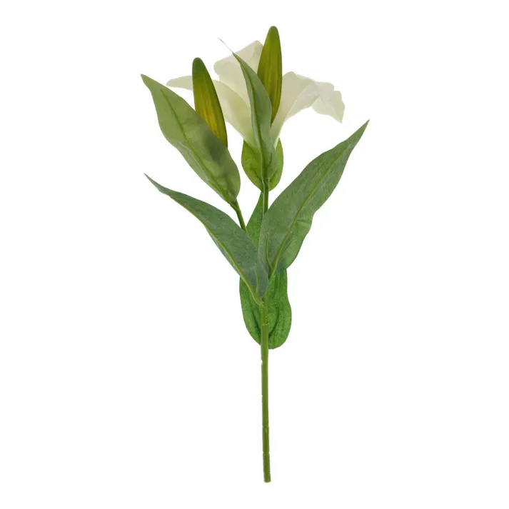 カインズ アレンジかんたん 1 カサブランカ ホワイト