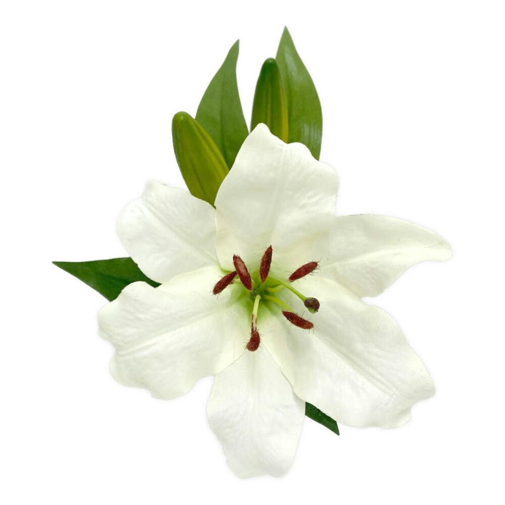 CA4LA ★カサブランカ ホワイト 生花】カサブランカ(白)4-5輪 【OR-13】津南、新津さつきほか - 花材