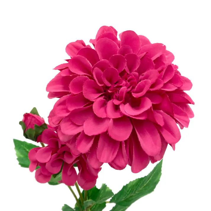 カインズ アレンジかんたん 1 枝咲きダリア ワインレッド