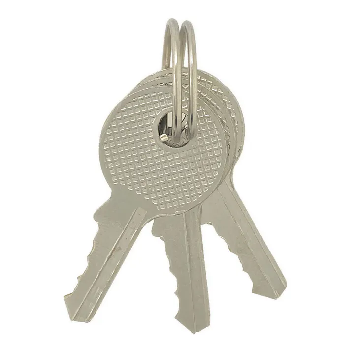 カインズ つる長南京錠 20mm