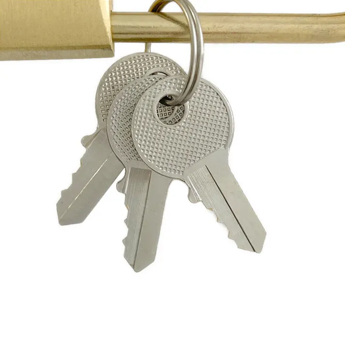 カインズ つる長南京錠 30mm