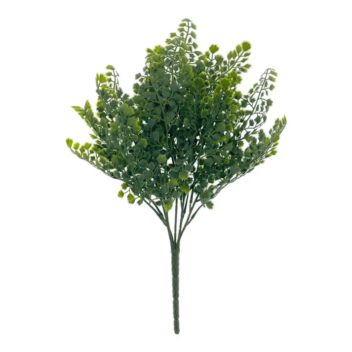 カインズ アレンジかんたんシリーズ ブッシュ アカシア