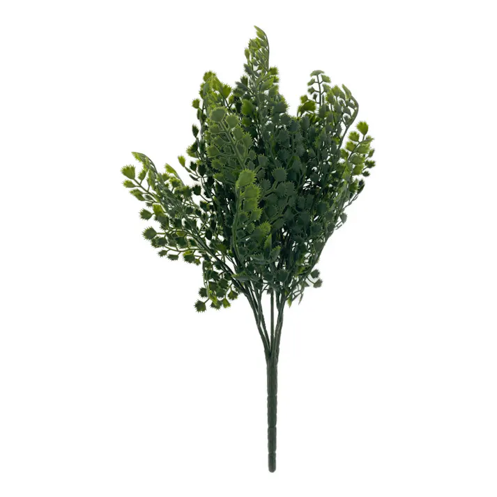 カインズ アレンジかんたんシリーズ ブッシュ アカシア