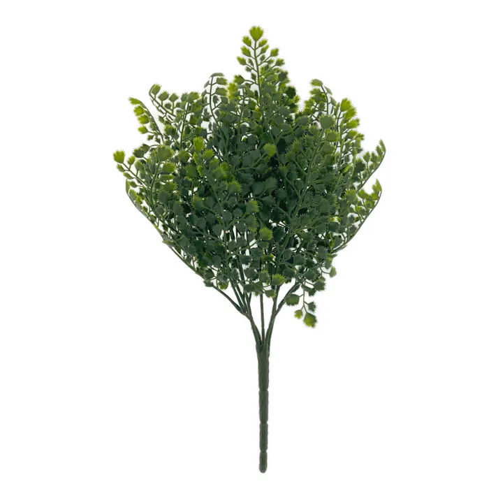 カインズ アレンジかんたんシリーズ ブッシュ アカシア