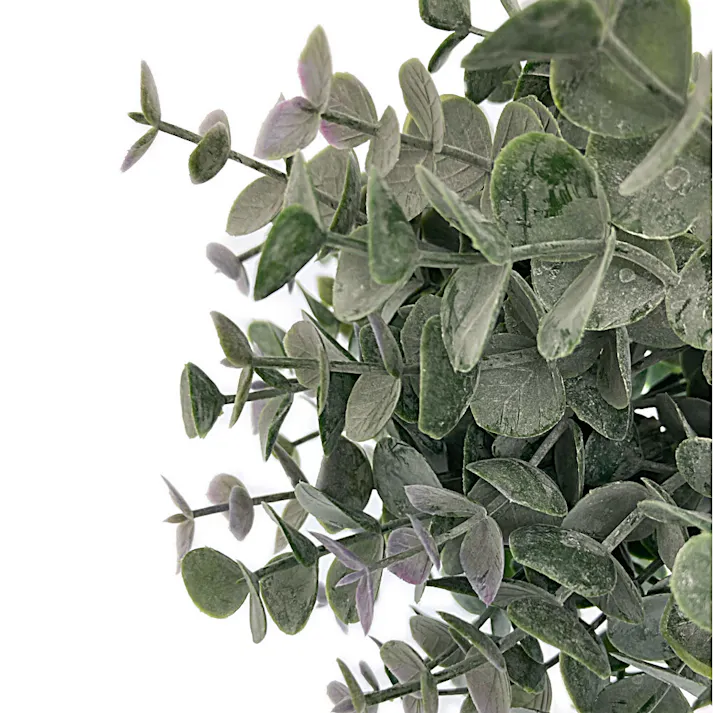 カインズ アレンジかんたんシリーズ ブッシュ ユーカリ