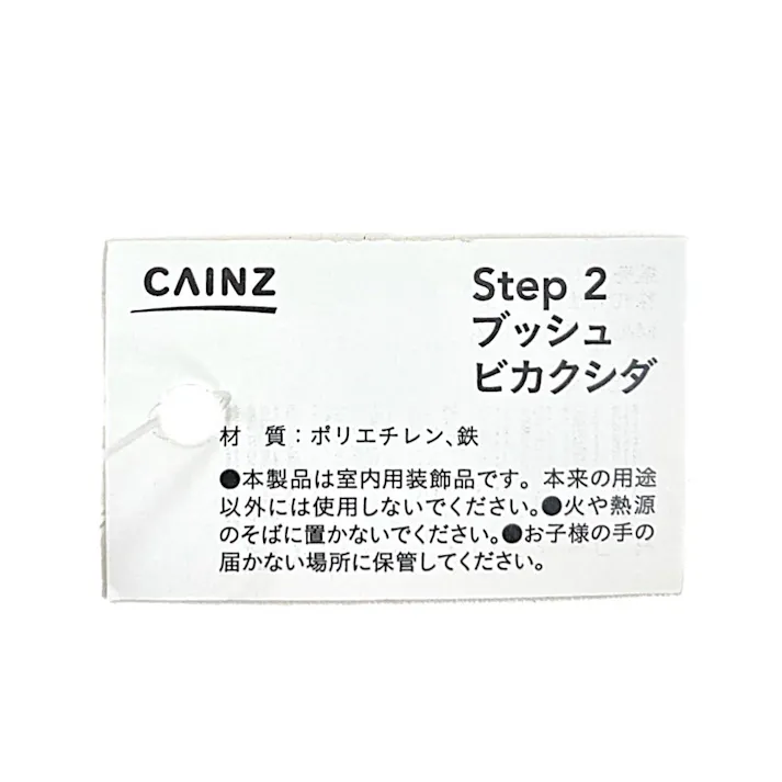 カインズ アレンジかんたんシリーズ ブッシュ ビカクシダ