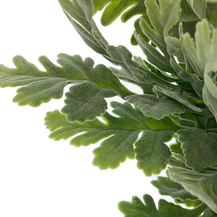 カインズ アレンジかんたんシリーズ ポイント オーク