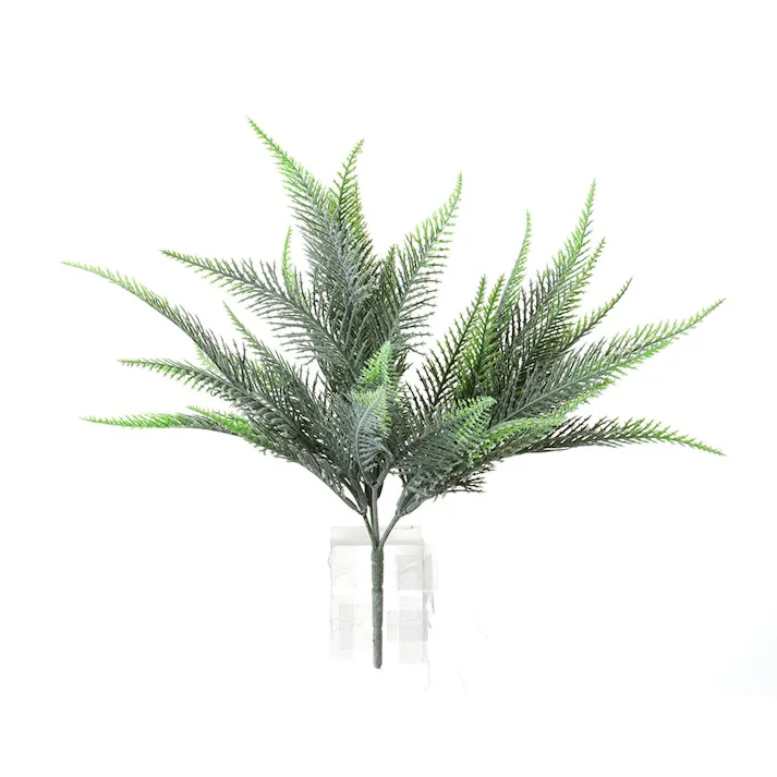 カインズ アレンジかんたんシリーズ ポイント シダ