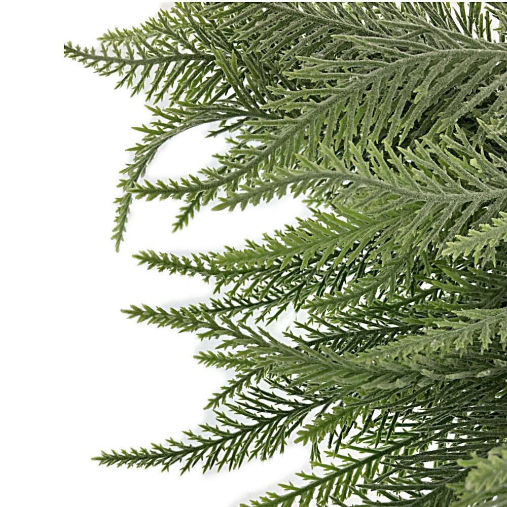 カインズ アレンジかんたんシリーズ ポイント シダ | 花＆グリーン