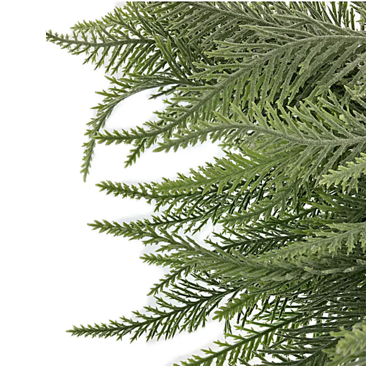 カインズ アレンジかんたんシリーズ ポイント シダ