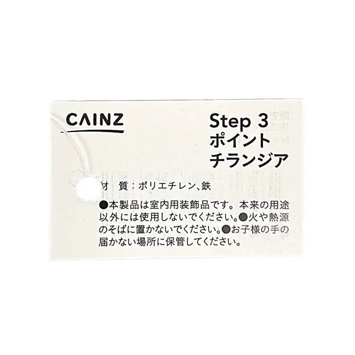 カインズ アレンジかんたんシリーズ ポイント チランジア