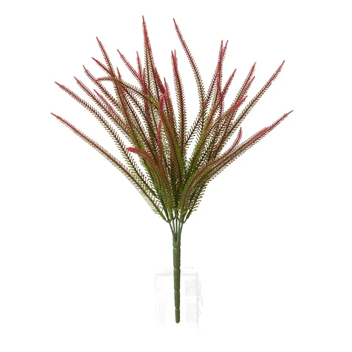 カインズ アレンジかんたんシリーズ ポイント サルビー