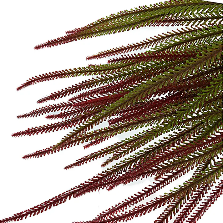 カインズ アレンジかんたんシリーズ ポイント サルビー