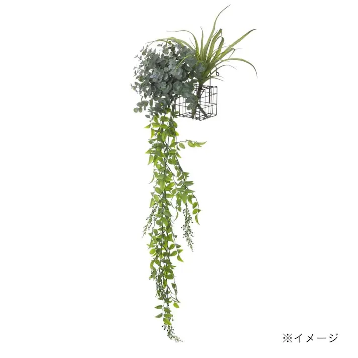 カインズ グリーン取付金具